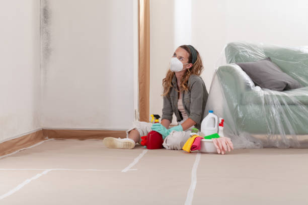 Trusted Crawl Space Mold Removal service in Oakland, PA - WQB Mold Removal